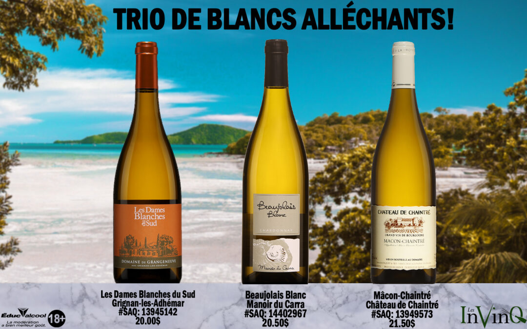 TRIO DE BLANCS ALLÉCHANTS!
